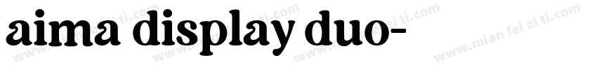 aima display duo字体转换